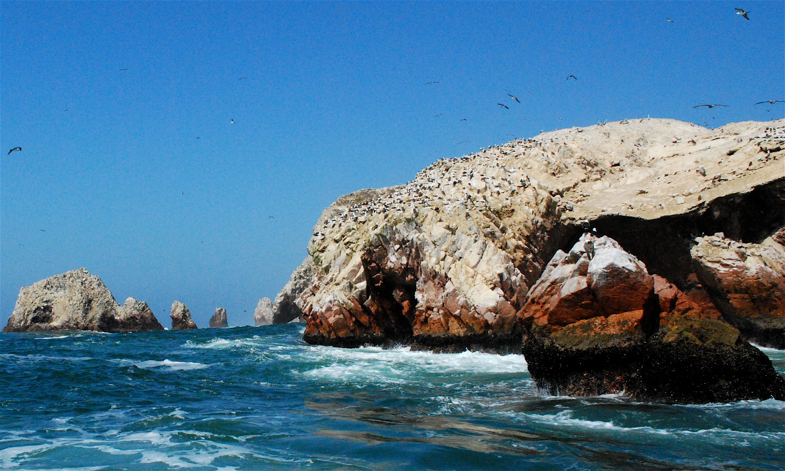 Islas Ballestas y la Reserva de Paracas: el otro rostro del desierto peruano